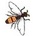 Berkhamsted bees, Beekeepers, local honey, swarms Berkhamsted 